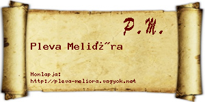 Pleva Melióra névjegykártya